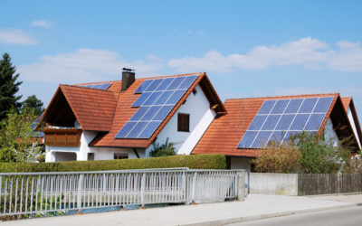 La rentabilité des panneaux photovoltaïques.